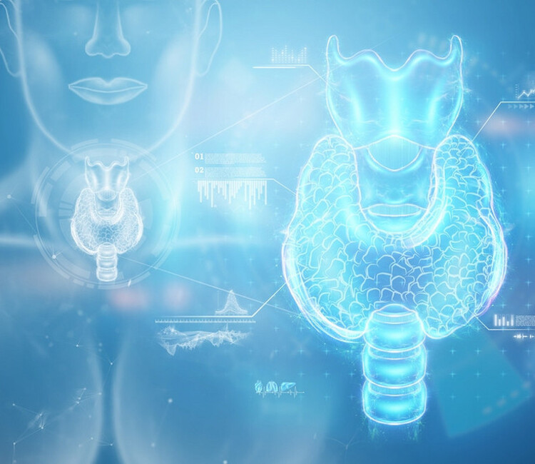 Диагностика щитовидной железы